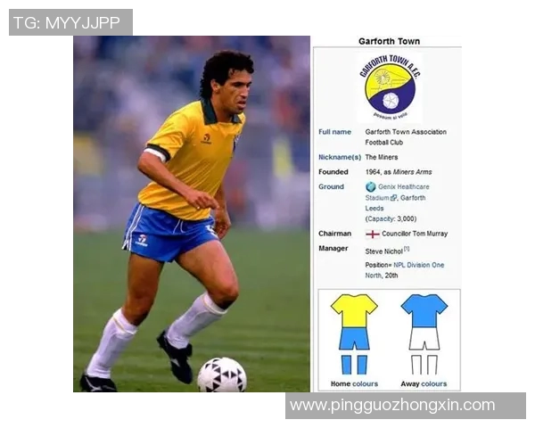 日本体育界的八位传奇明星排名及其成就分析